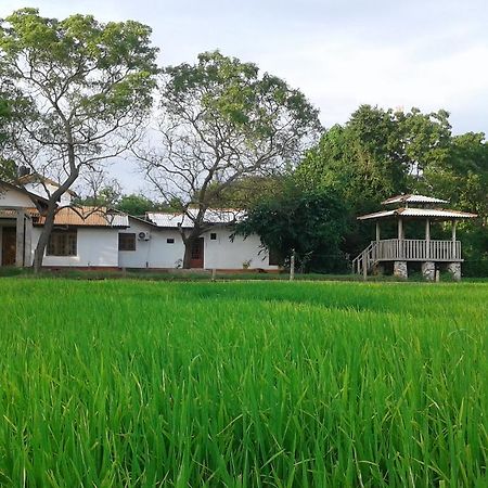 Willpattu Wild Watch Hotel Habawewa Exterior photo