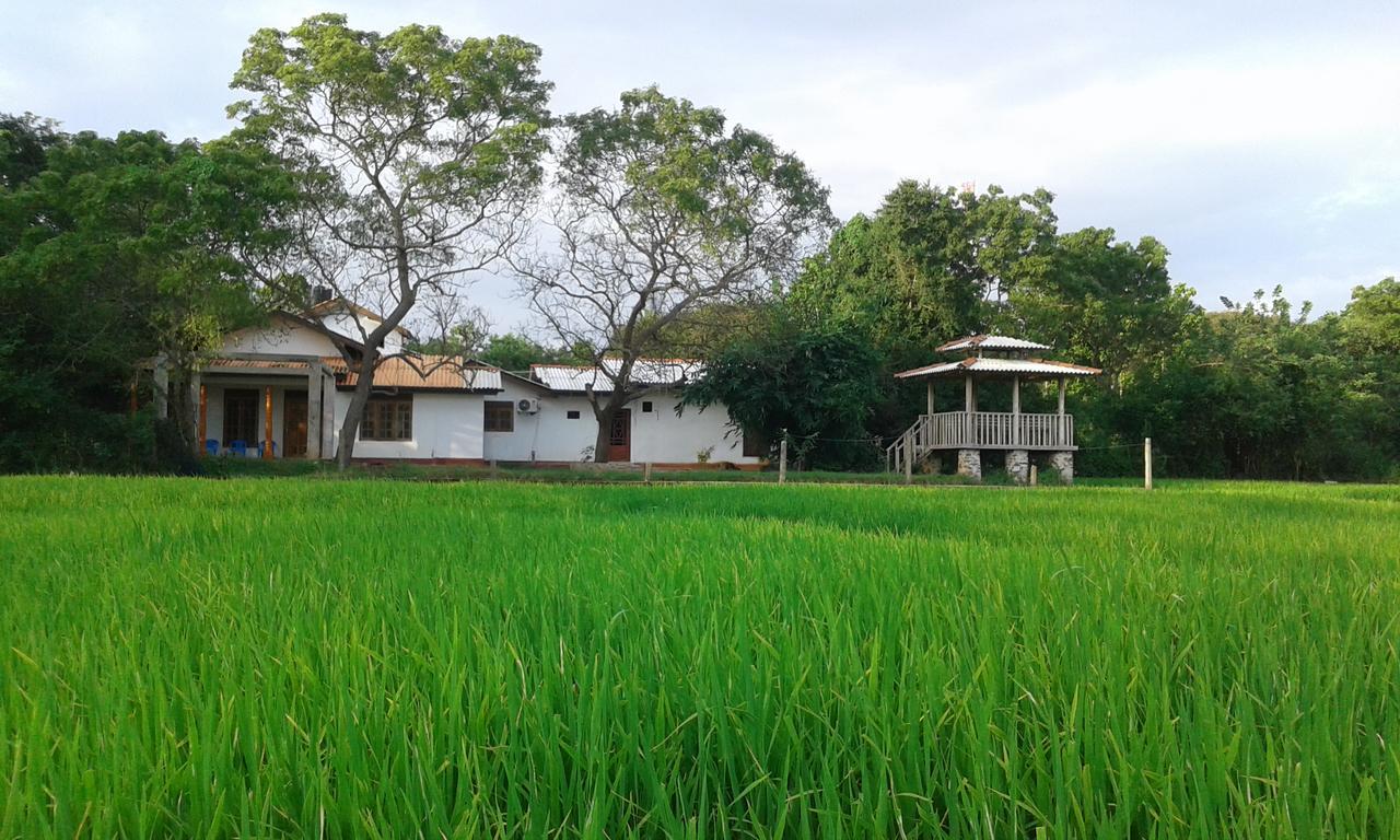 Willpattu Wild Watch Hotel Habawewa Exterior photo