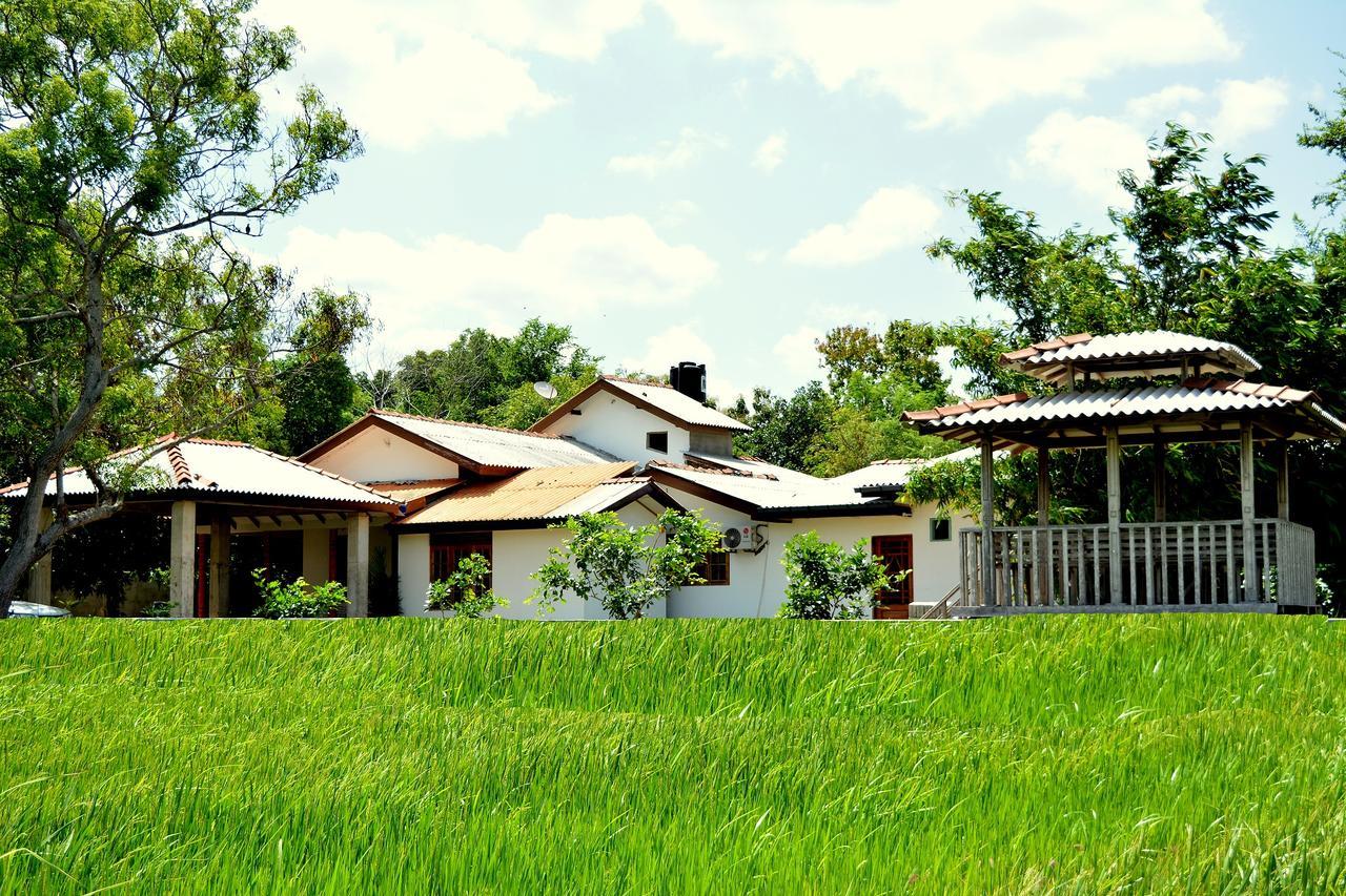 Willpattu Wild Watch Hotel Habawewa Exterior photo